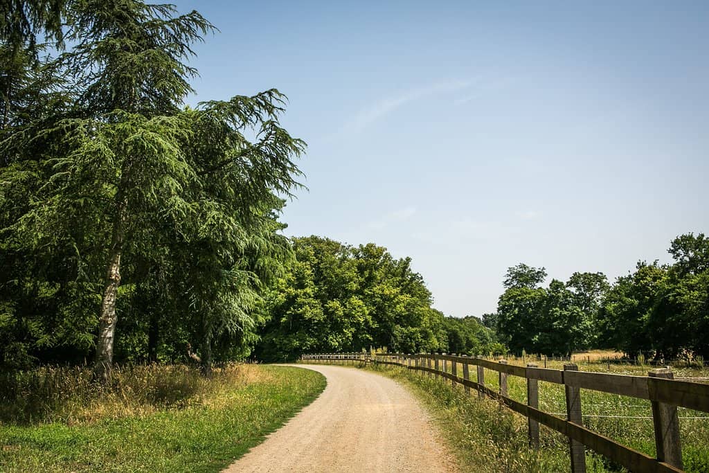 Equestrian Arenas