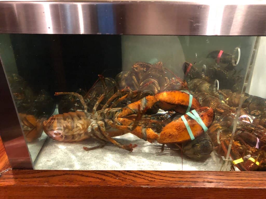 New England Clam Chowder