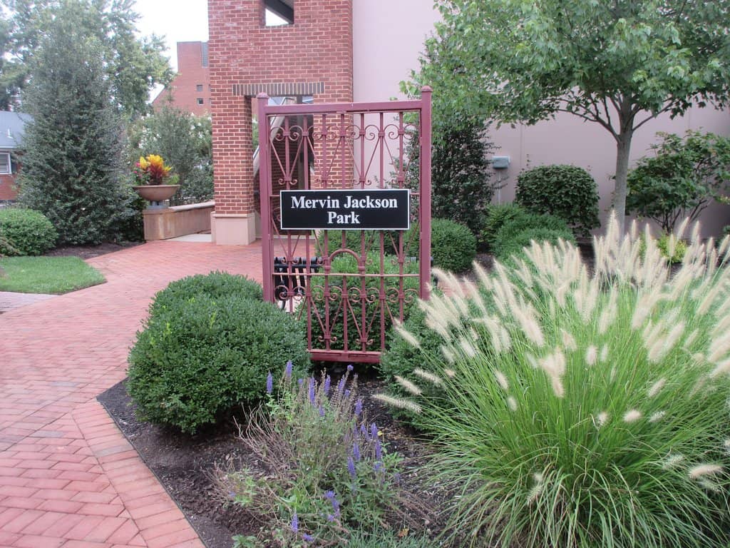 Historical Maps and Toys