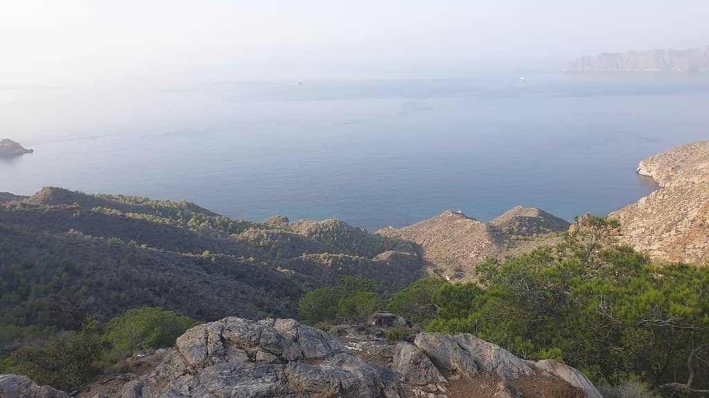 Scenic Trail Running