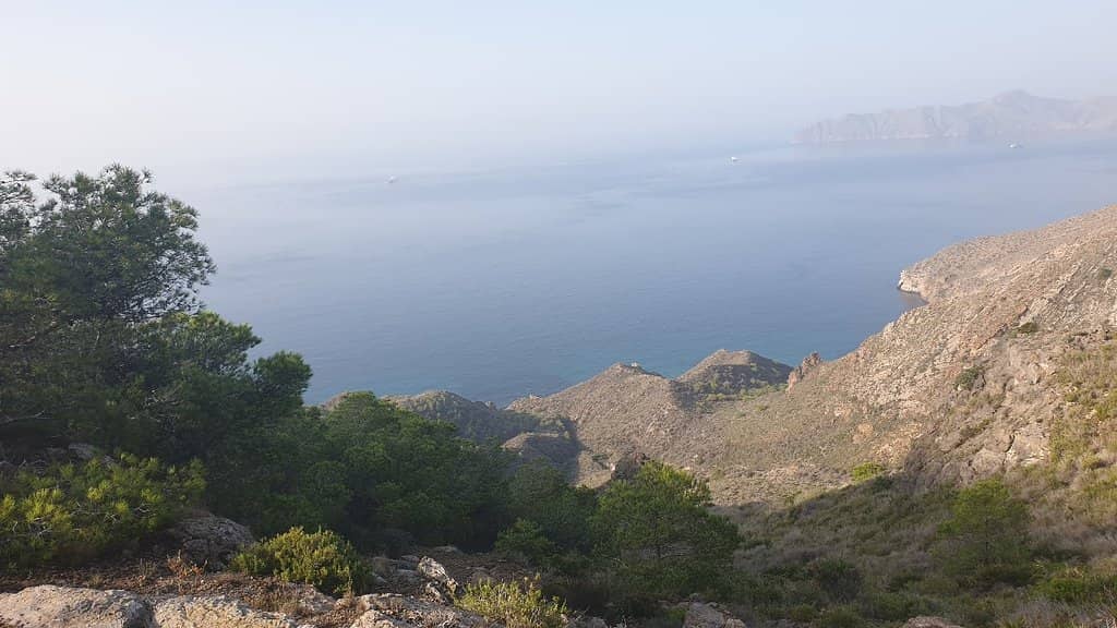 Panoramic Coastal Views