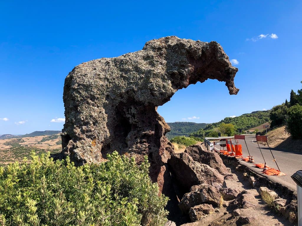 elefante