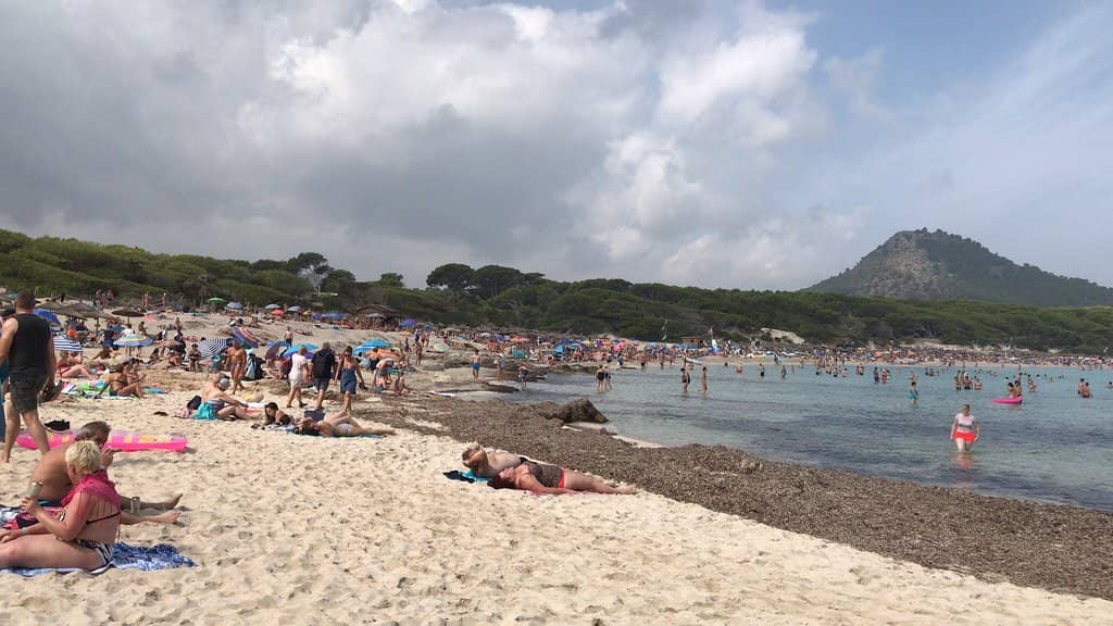 Turquoise Waters & Pink Sand