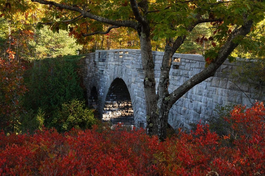 View of front side of bridge from bank