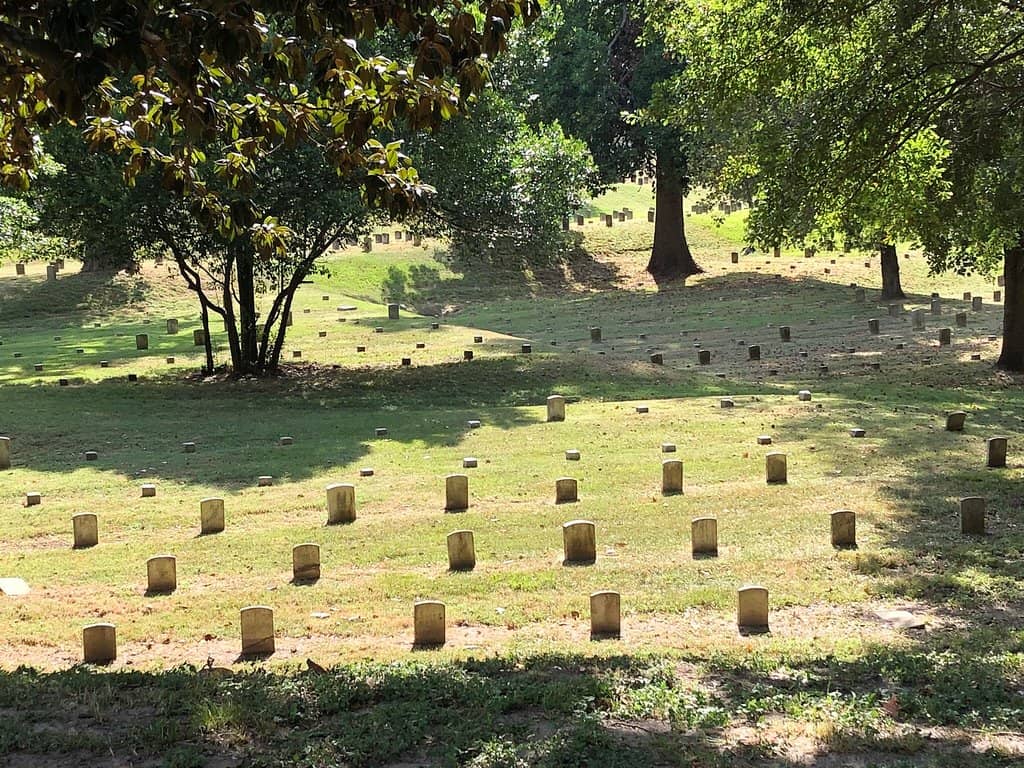 Confederate Section