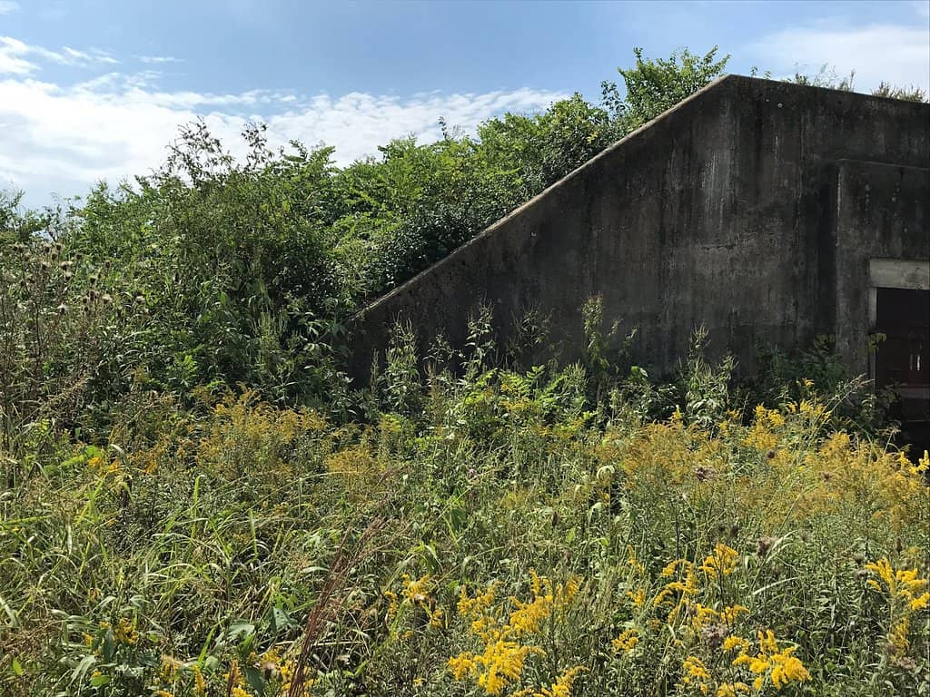 Abundant Wildlife Viewing