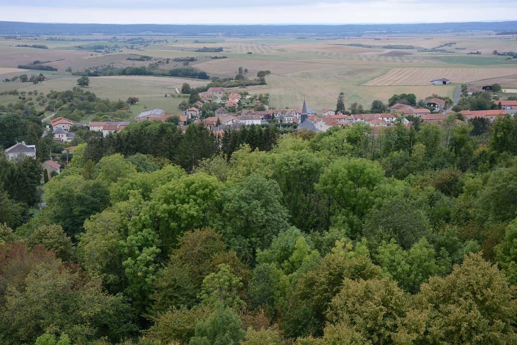 Panoramic Views