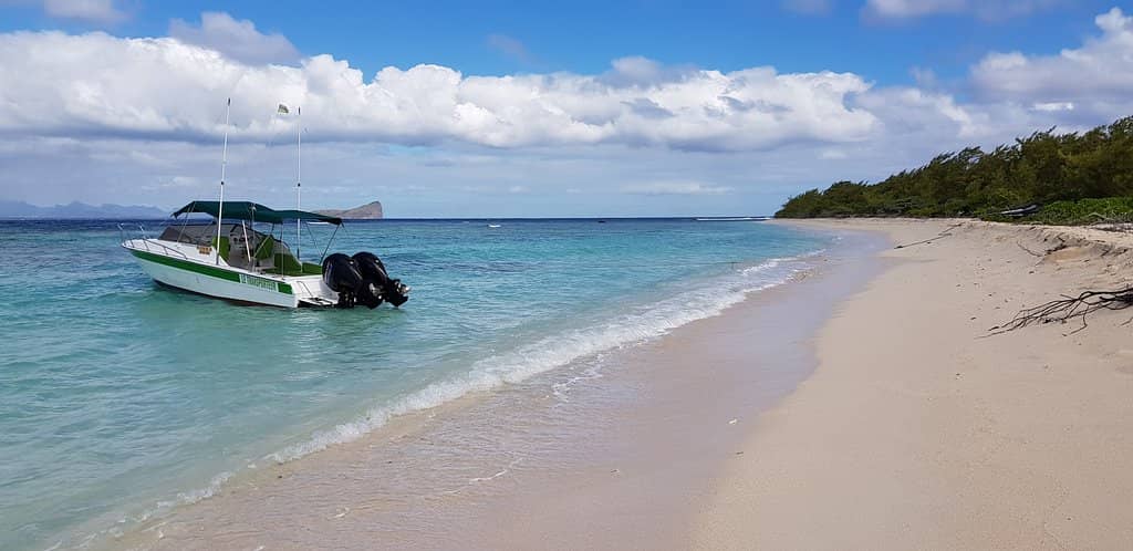 Jewelry and Accessories