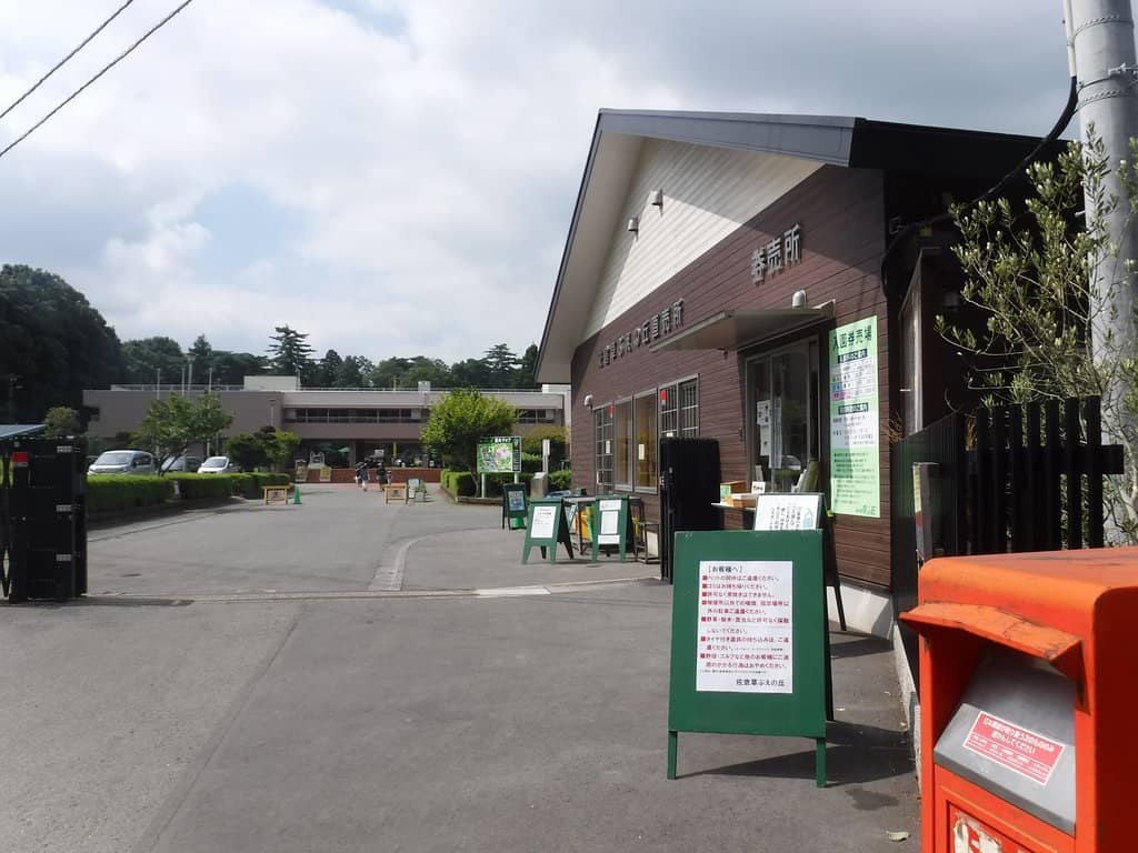 Seasonal Harvest Experiences