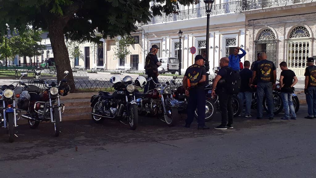 Sunset Bird Symphony