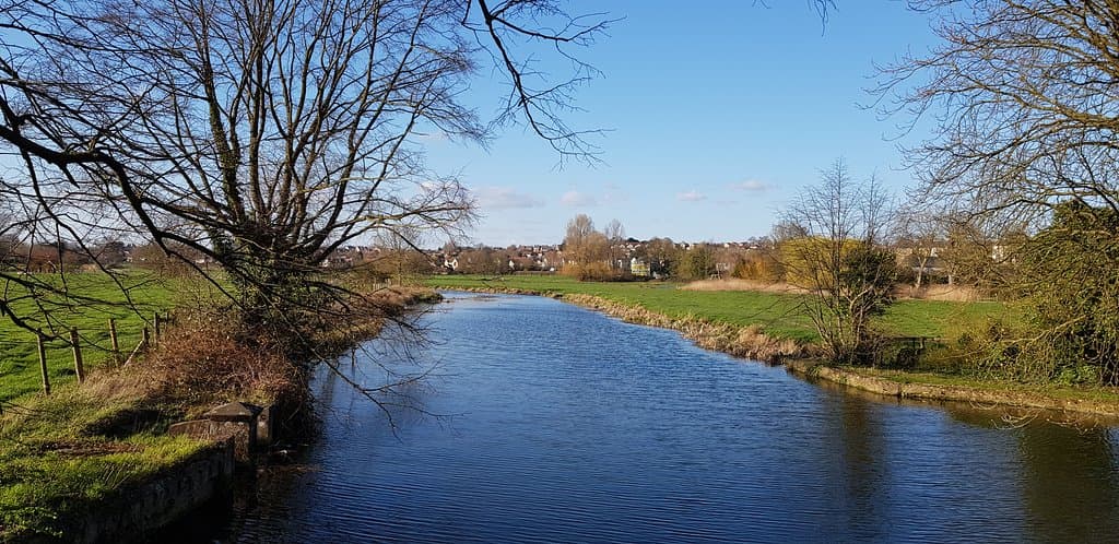 Sudbury Water Meadows