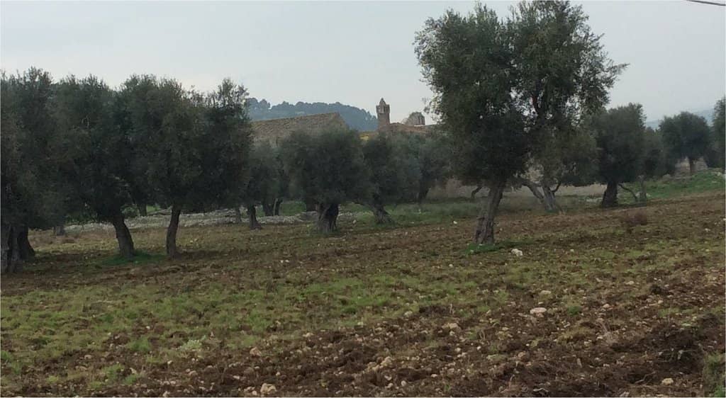 Architectural Remnants