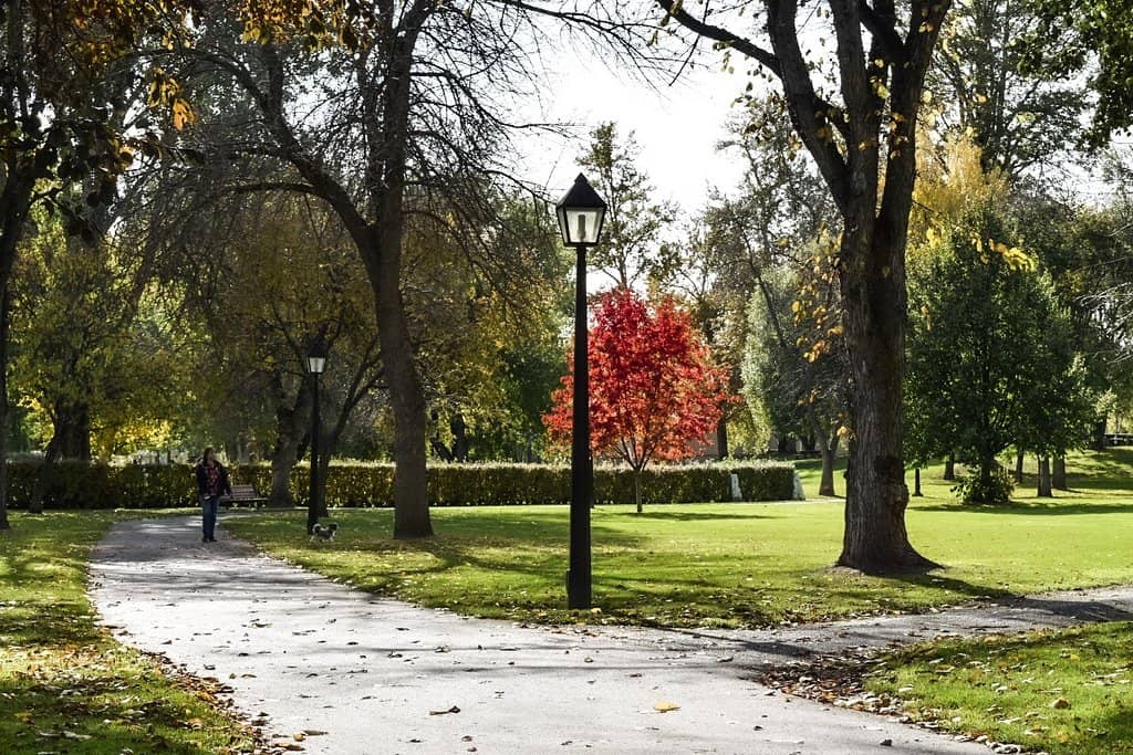 Autumn Foliage