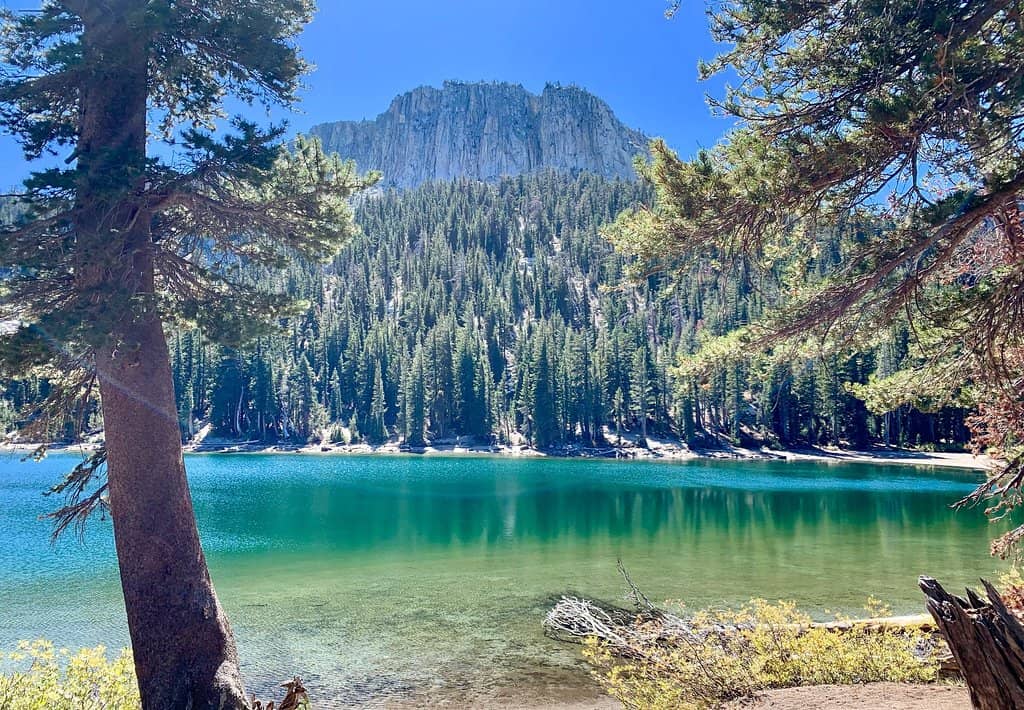 Lahontan Cutthroat Trout Habitat