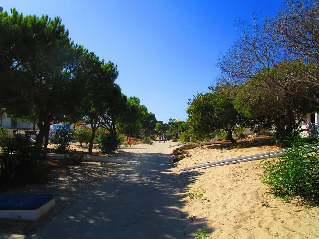 Pristine White Sand Beaches