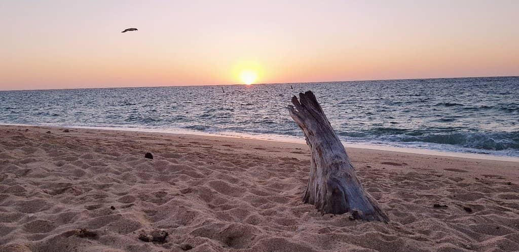 Spectacular Sunset Views