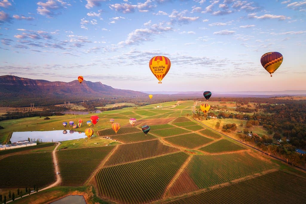 Balloon Aloft flights over the vineyards