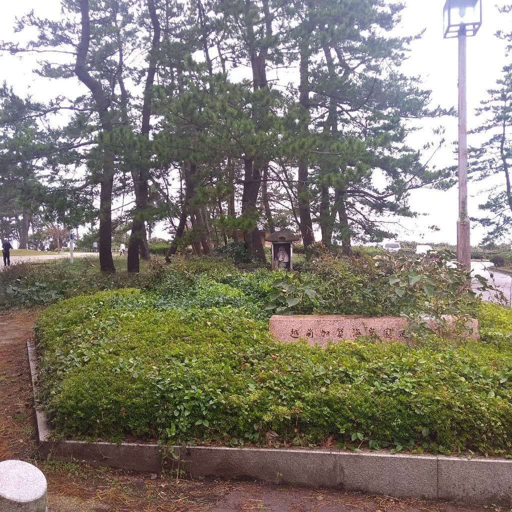 Family-Friendly Green Space