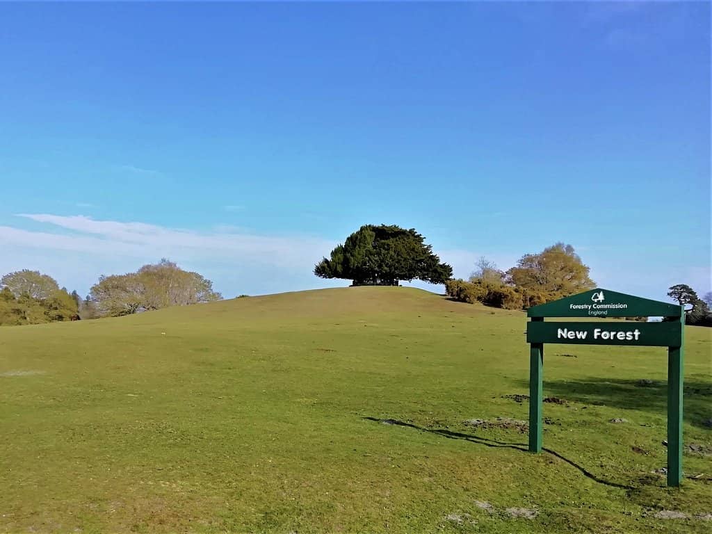 Free-Roaming Wildlife