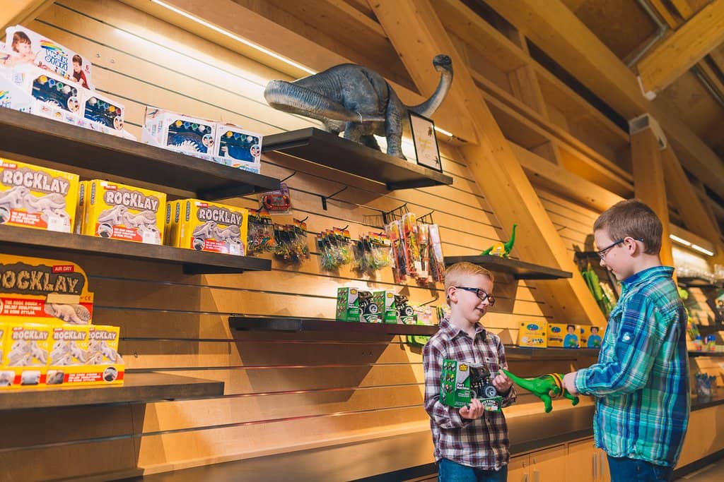 Live Fossil Preparation