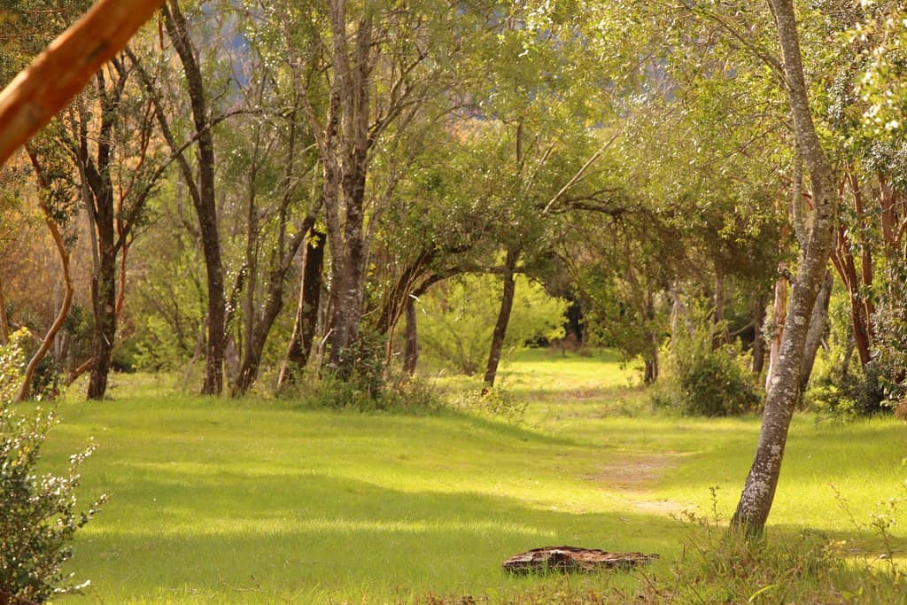 Scenic Lakeside Views