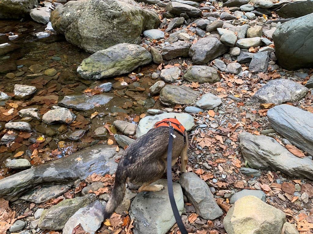 Sugar Hollow Reservoir