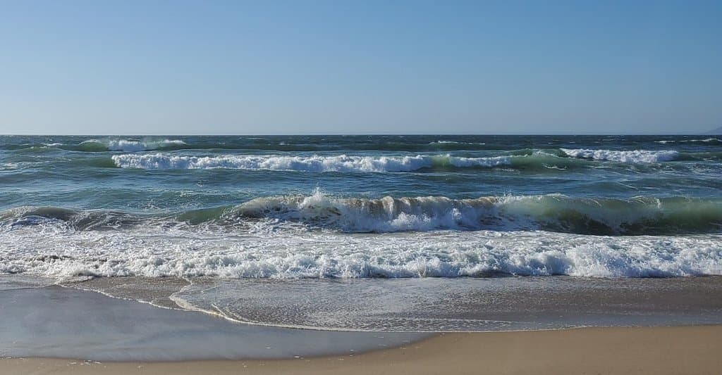 Rancho Guadalupe Dunes Preserve