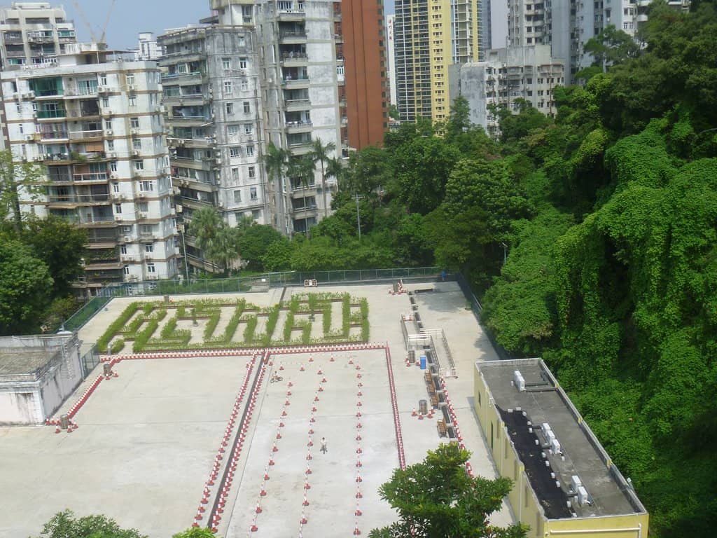 Vertical photo