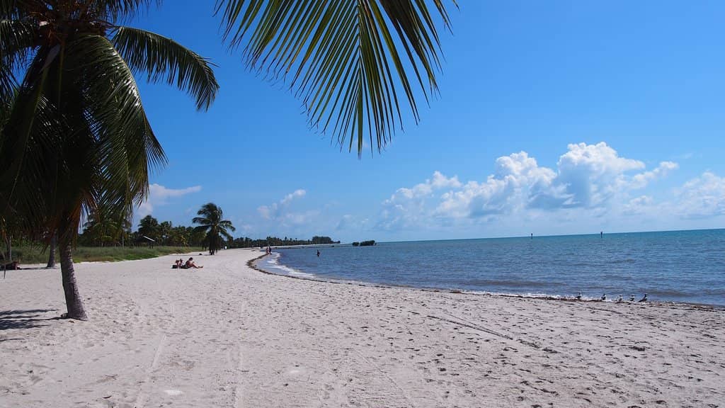 Volleyball Courts