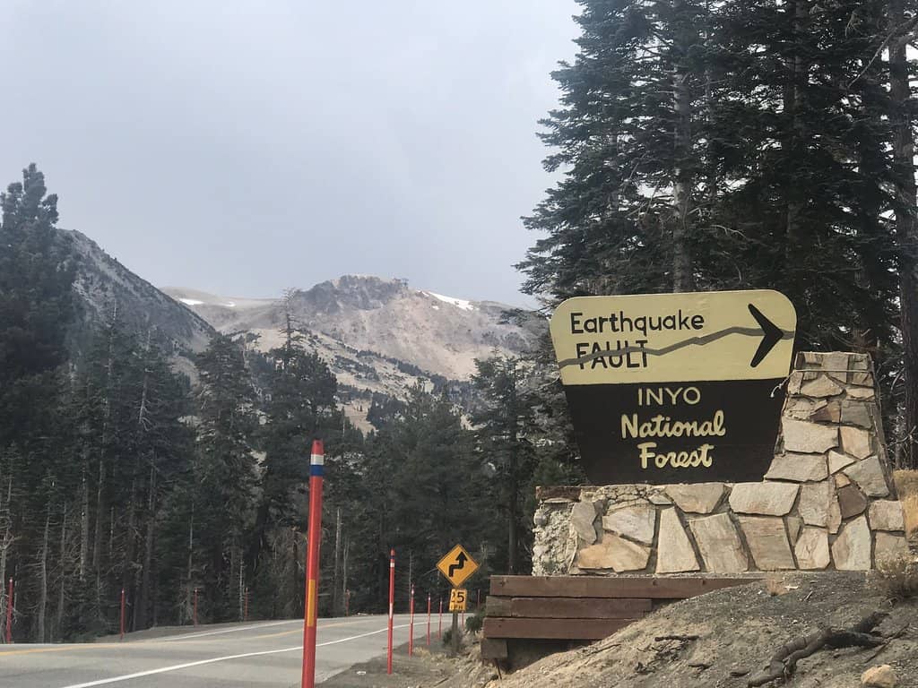 Easy Loop Trail