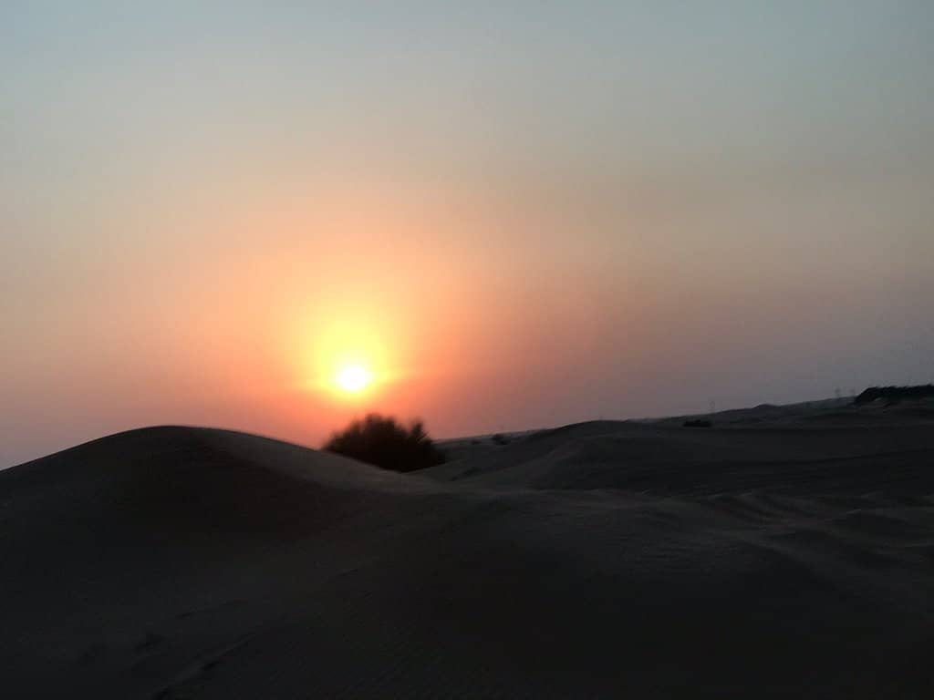 Traditional Bedouin Camp Experience