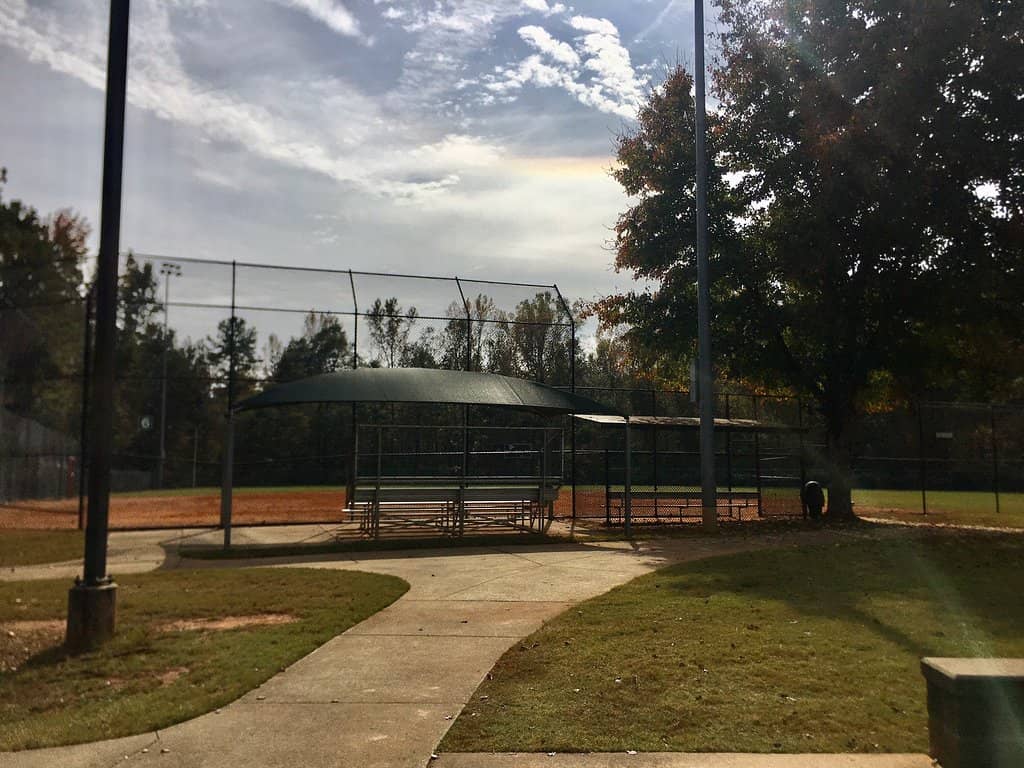 Diverse Culinary Delights