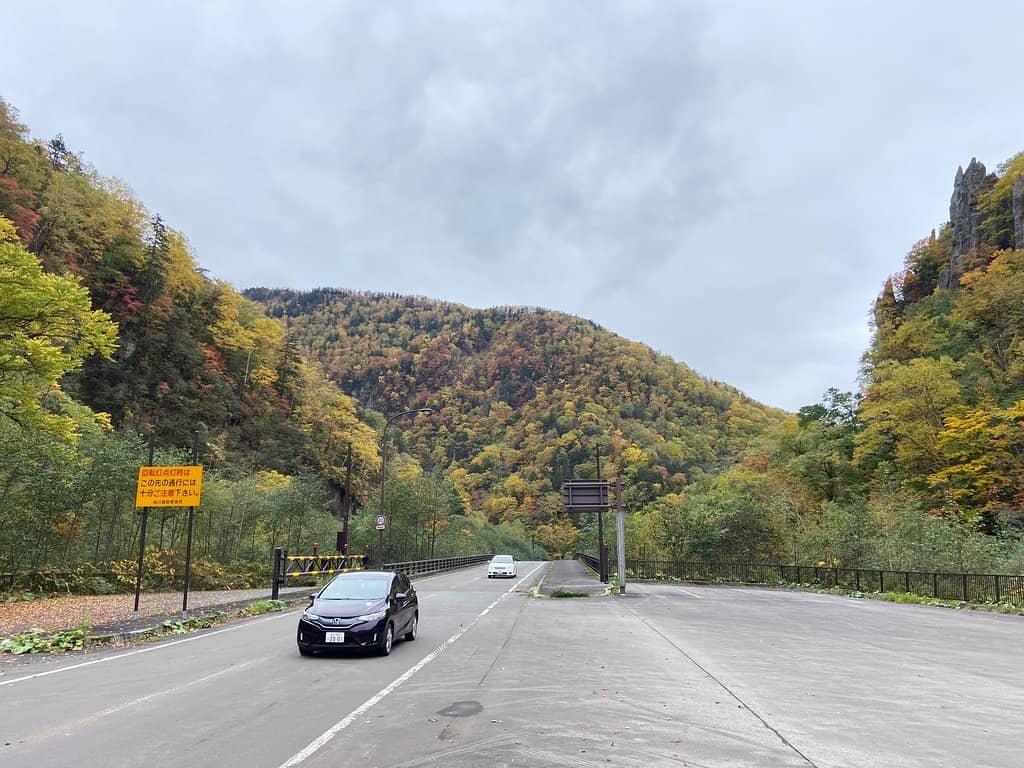 Columnar Jointed Rocks