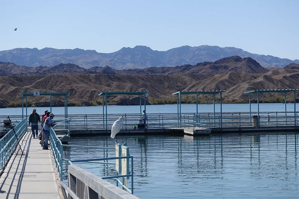 Paddling to the London Bridge