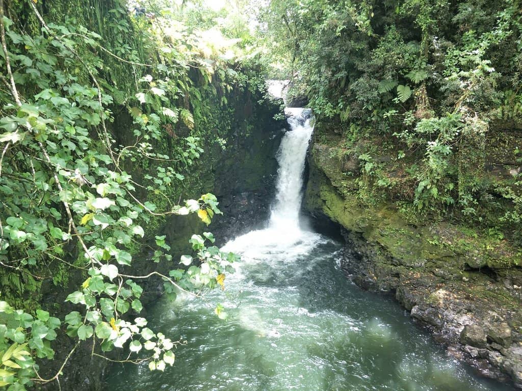 Refreshing Swimming Pool