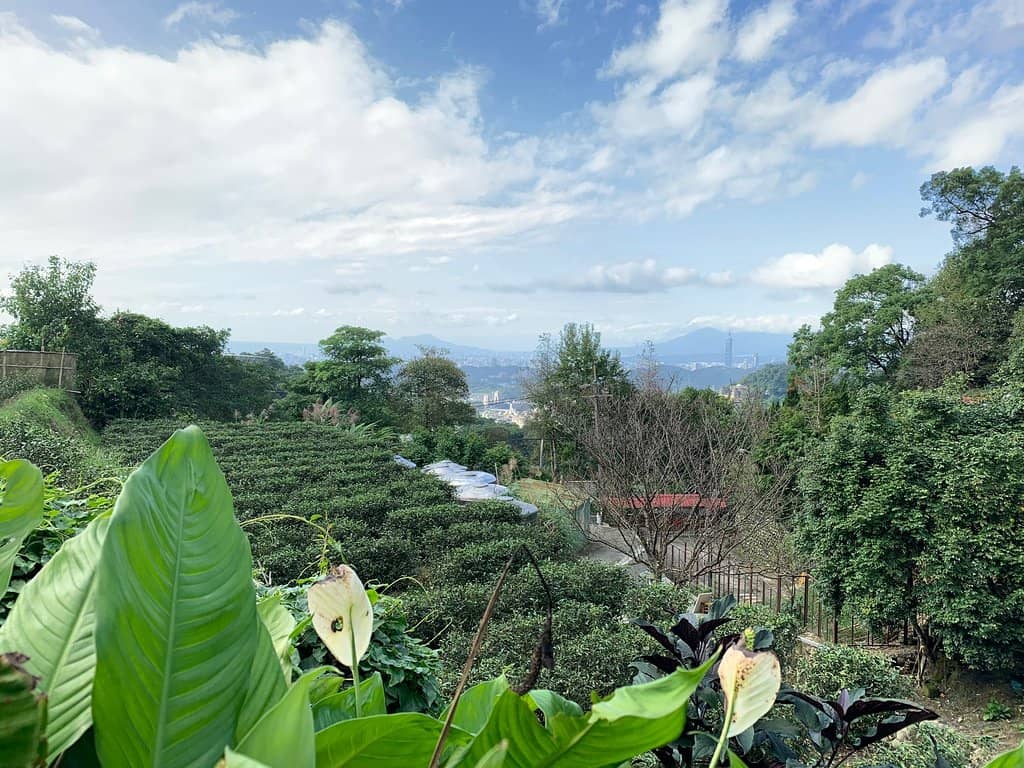 Panoramic Mountain Vistas