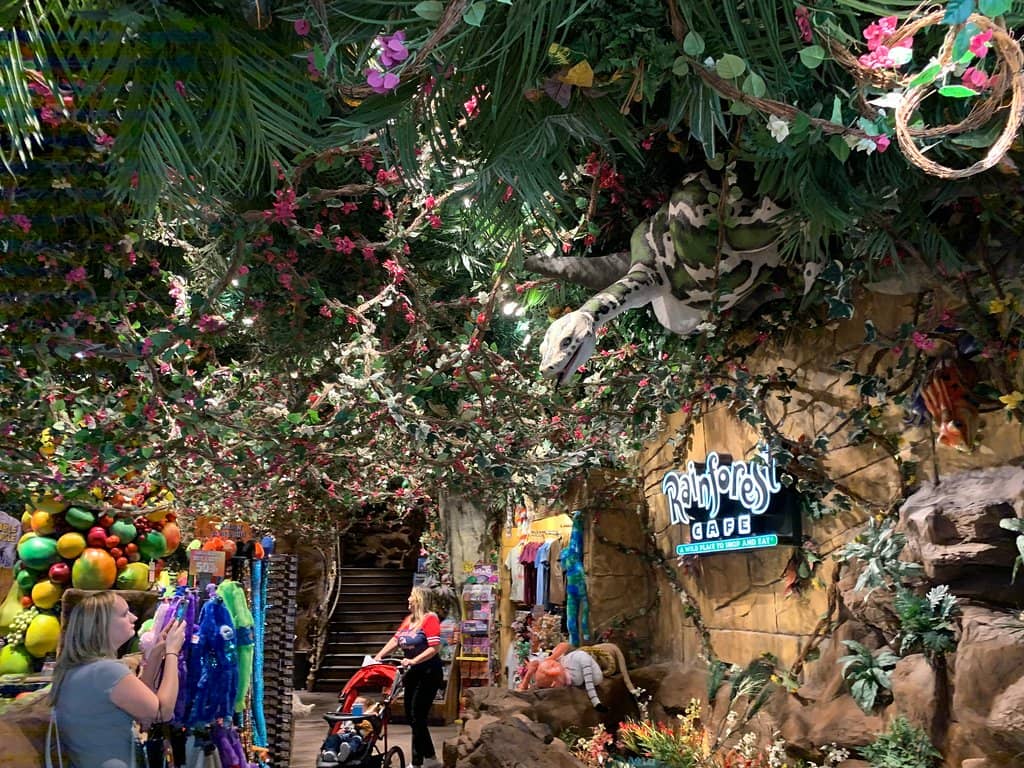 Themed Dining Experience