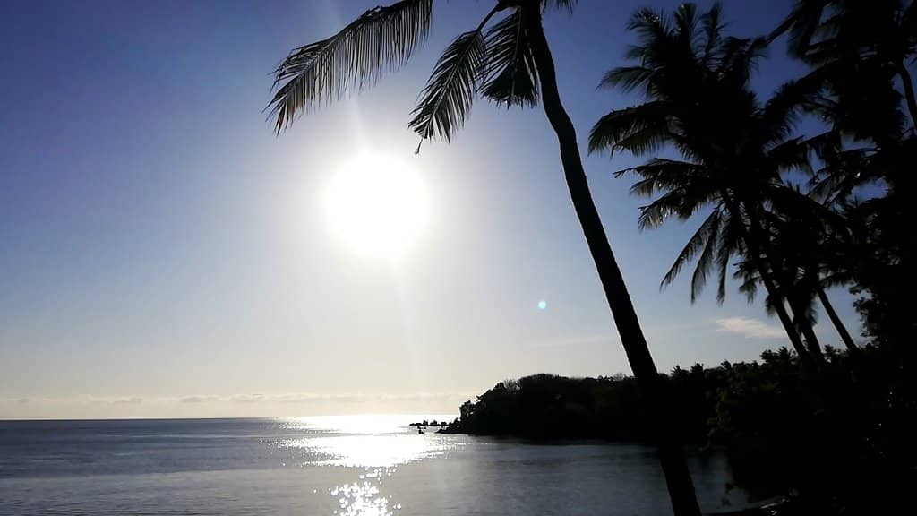 Discover Scuba Diving Experience