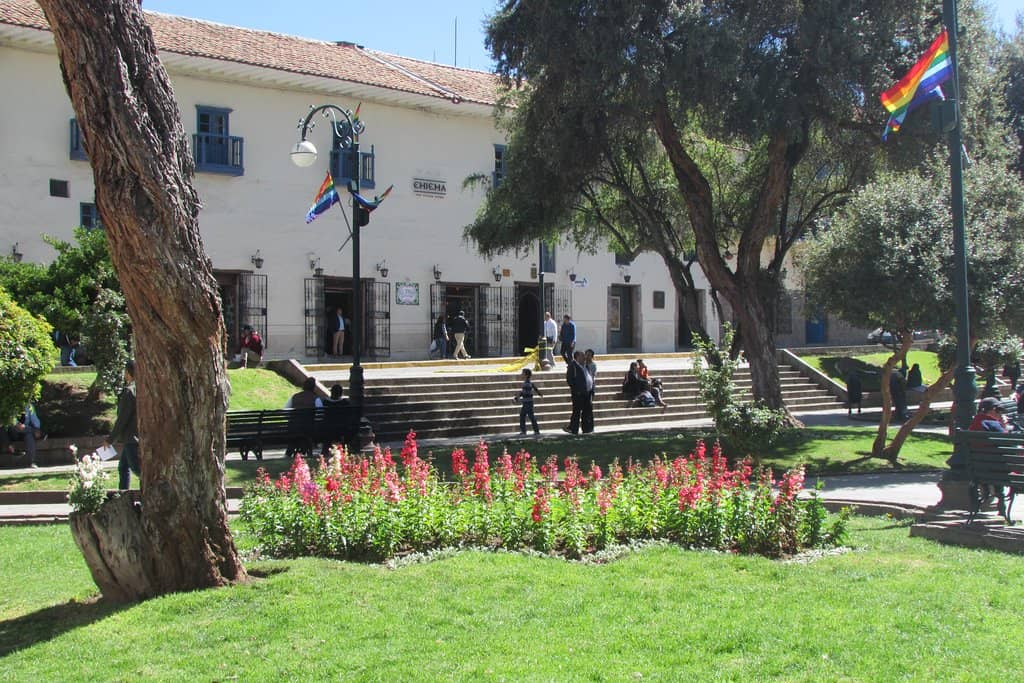 Local Artist Displays