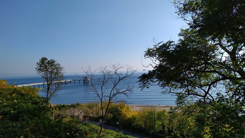 Sea Garden