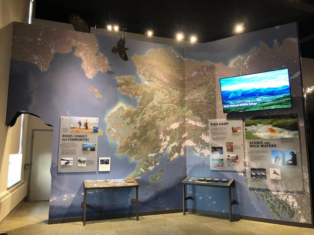 Wildlife Displays
