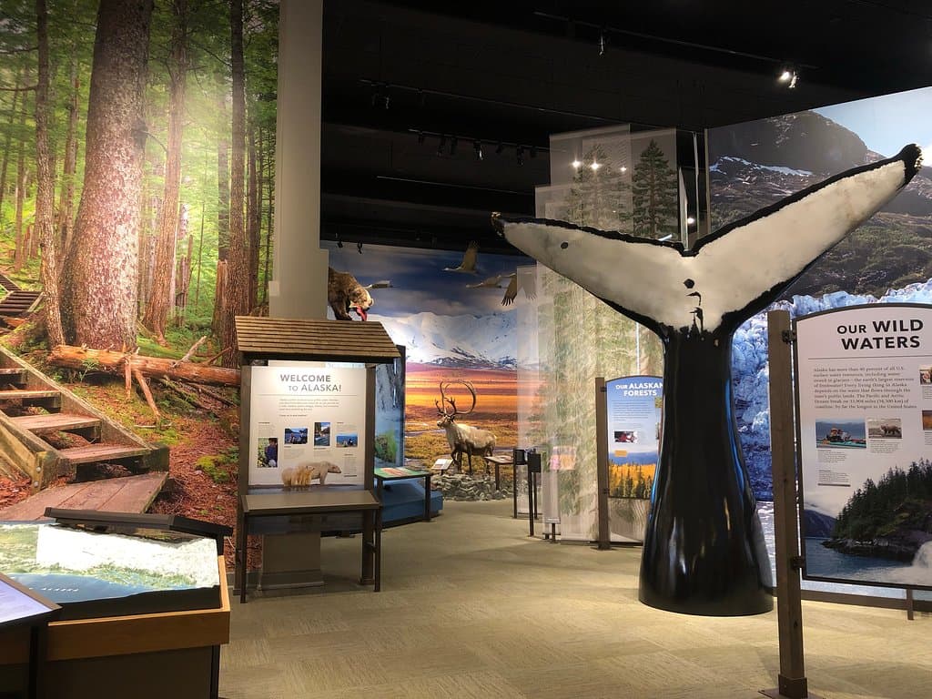 Want to walk through the rainforest trails of southeastern Alaska? How about hug a life size humpback whale tail? You can do that here!
