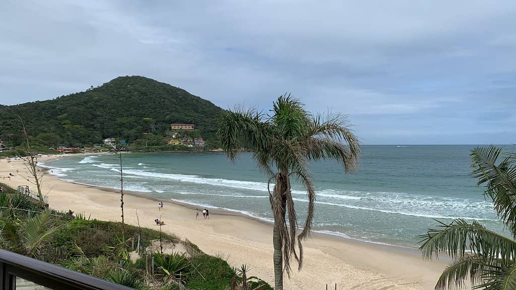Coastal Trail Views