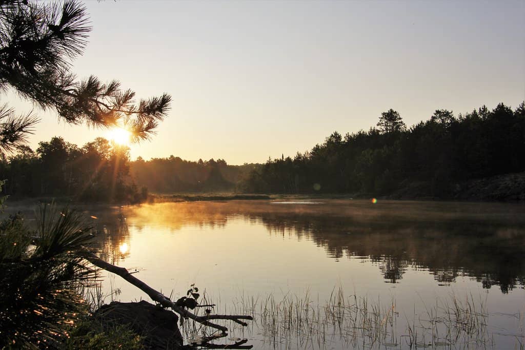 Extensive Hiking & Biking Trails