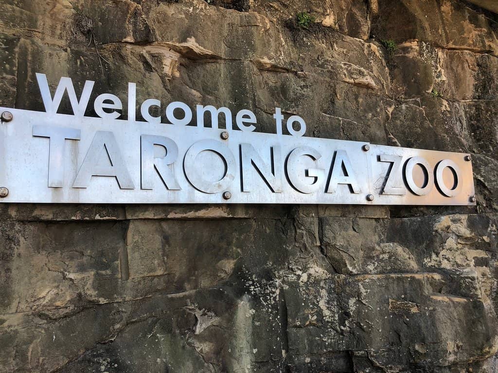 Vivid Sydney Wild Lights