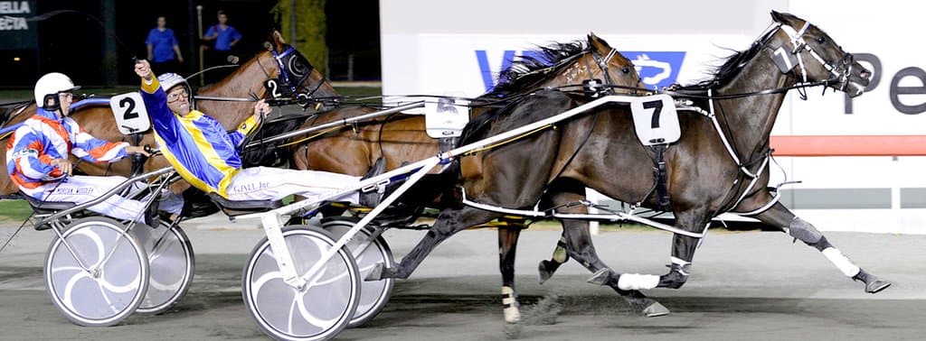 Gloucester Park Harness Racing