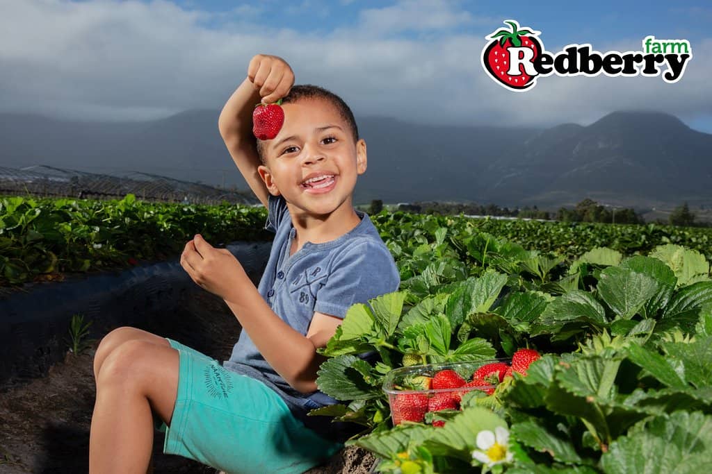 Market & Food Stalls