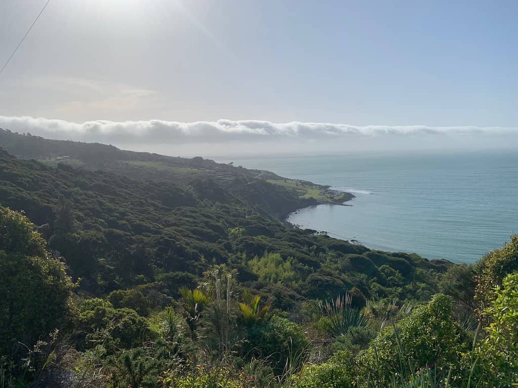 Raglan's Coastal Charm