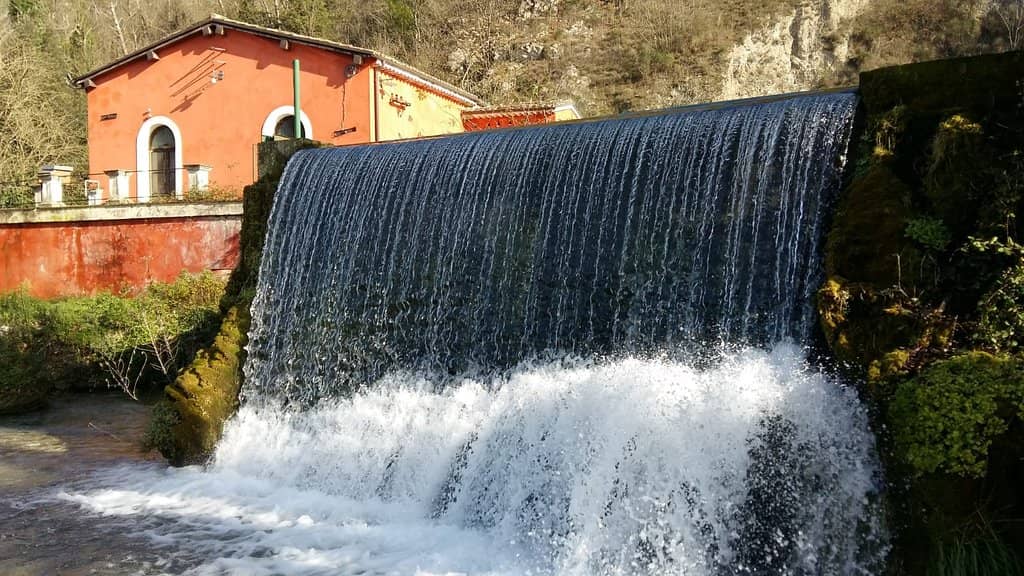 Biodiversity Hotspot