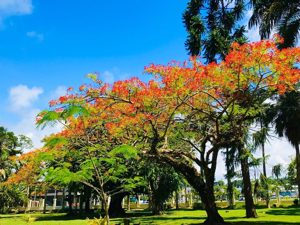 Thurston Gardens Suva